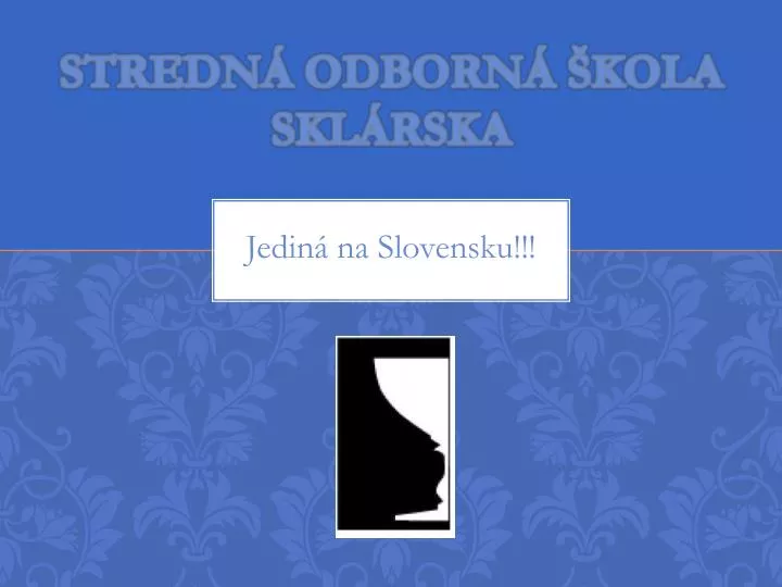 stredn odborn kola skl rska