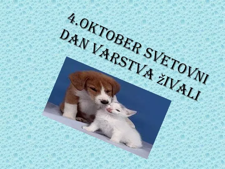 4 oktober svetovni dan varstva ivali