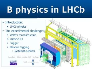B physics in LHCb
