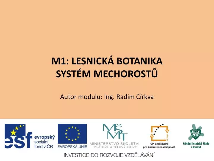 m1 lesnick botanika syst m mechorost