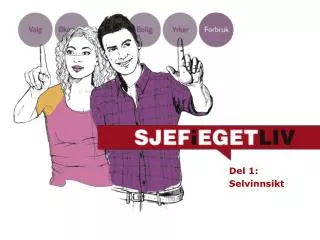 del 1 selvinnsikt