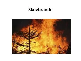 skovbrande