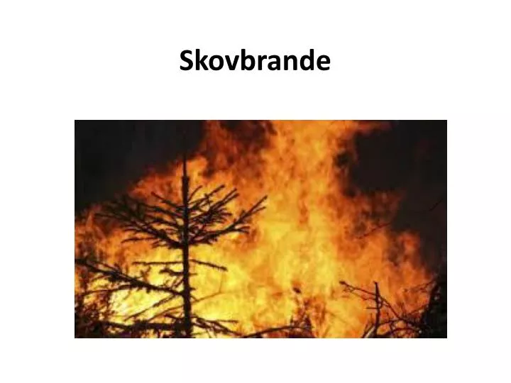 skovbrande