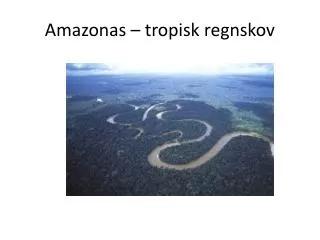 Amazonas – tropisk regnskov