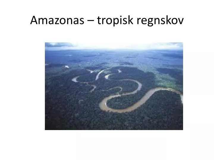 amazonas tropisk regnskov