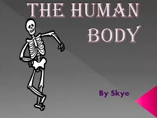 The human Body