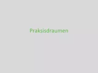 praksisdraumen