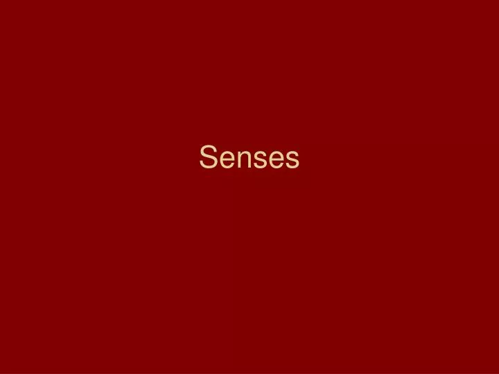 senses