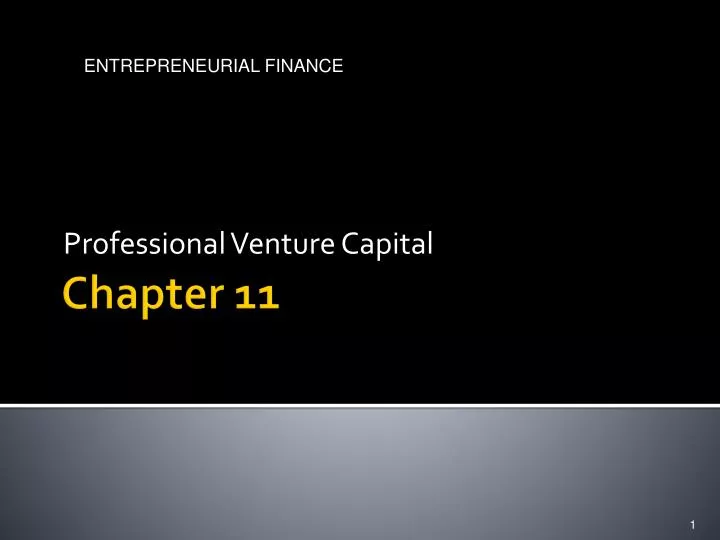 professional venture capital