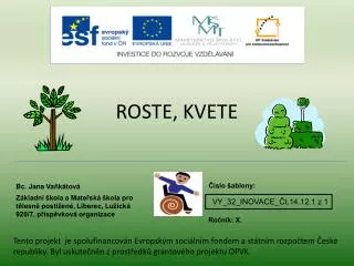 roste kvete