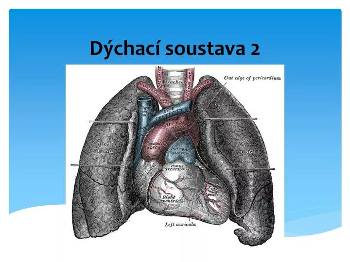 d chac soustava 2