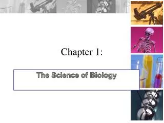chapter 1