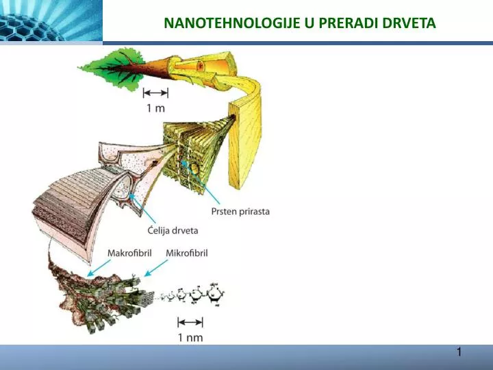 nanotehnologije u preradi drveta