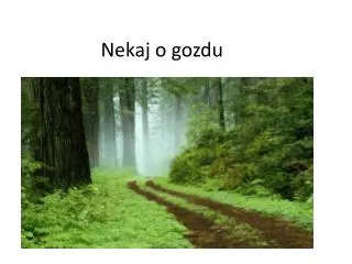 nekaj o gozdu