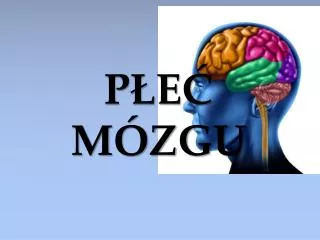 p e m zgu