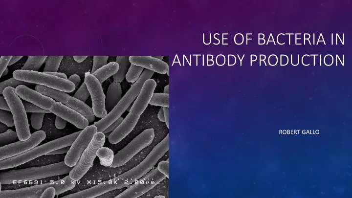 use of bacteria in antibody production