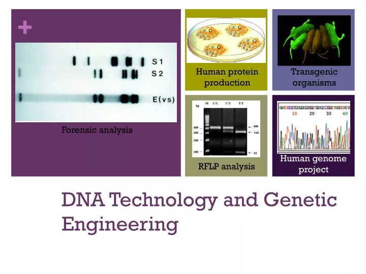 dna technology and genetic engineering