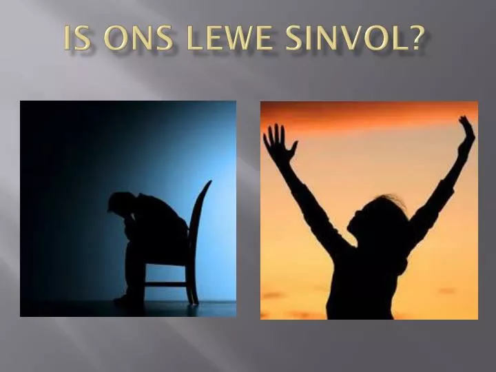 is ons lewe sinvol