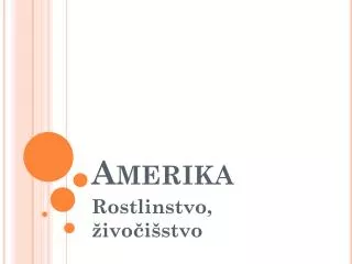 amerika