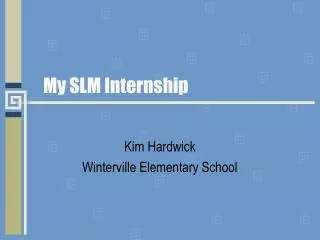 My SLM Internship