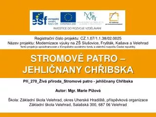 stromov patro jehli nany ch ibska