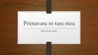 primavara in tara mea