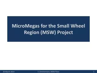 MicroMegas for the Small Wheel Region (MSW) Project