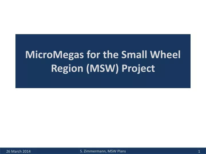 micromegas for the small wheel region msw project