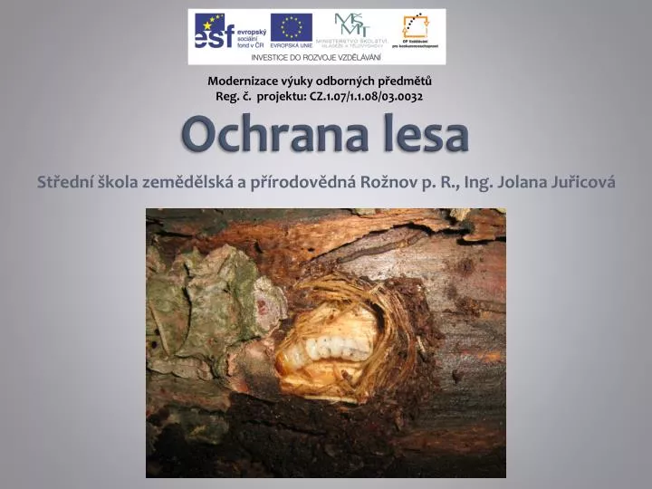 ochrana lesa