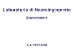Laboratorio di Neuroingegneria Segmentazione A.A . 2012-2013 - slide 1