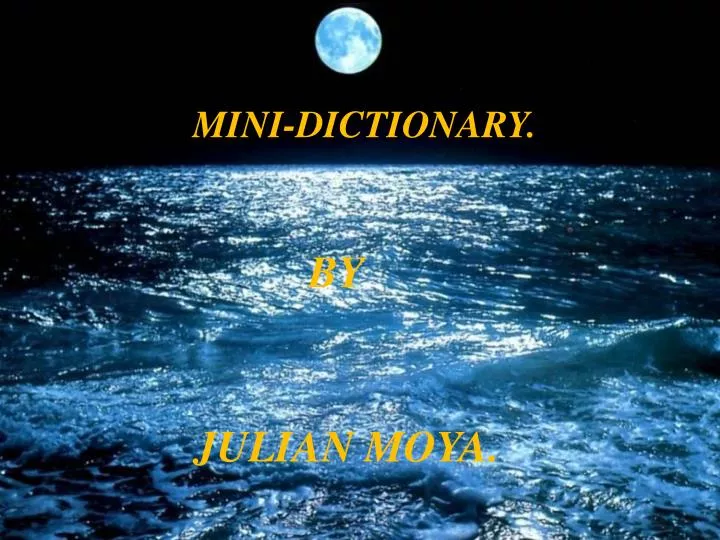 mini dictionary