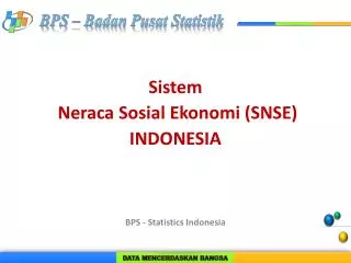 Sistem Neraca Sosial Ekonomi (SNSE ) INDONESIA