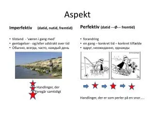 aspekt