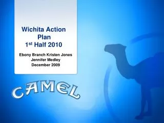 Wichita Action Plan 1 st Half 2010