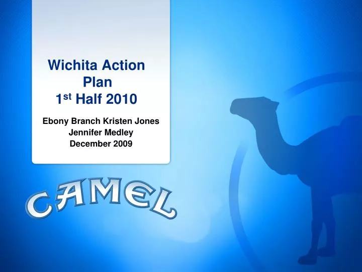 wichita action plan 1 st half 2010
