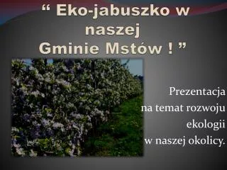 eko jabuszko w naszej gminie mst w