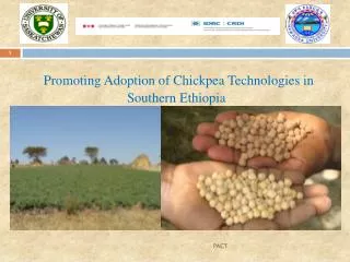 Promoting Adoption of Chickpea Technologies in Southern Ethiopia