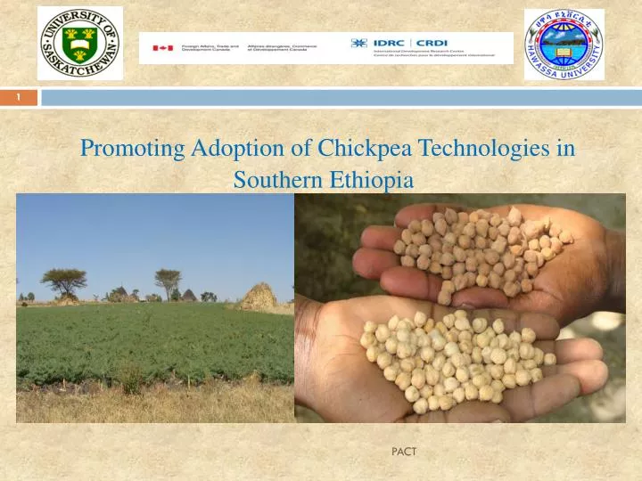 promoting adoption of chickpea technologies in southern ethiopia