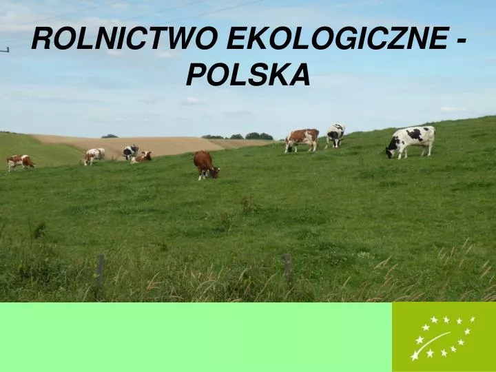 rolnictwo ekologiczne polska