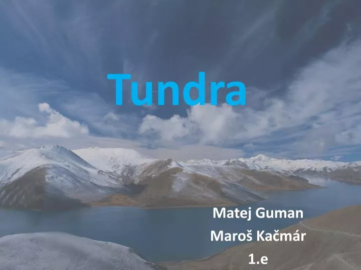 tundra