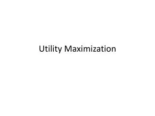 Utility Maximization