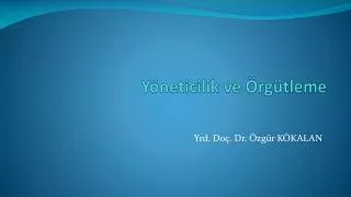 y neticilik ve rg tleme