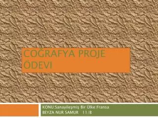 co rafya proje devi