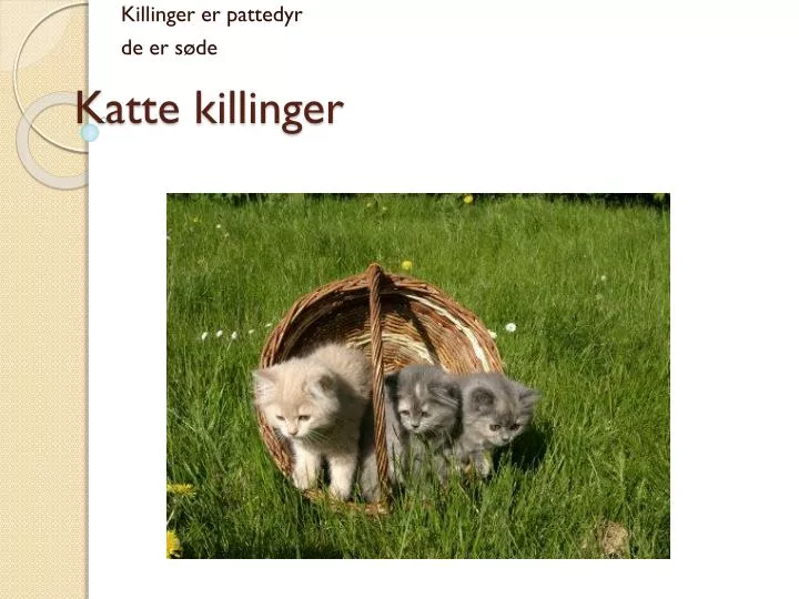 katte killinger