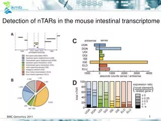 Detection of nTARs in the mouse intestinal transcriptome