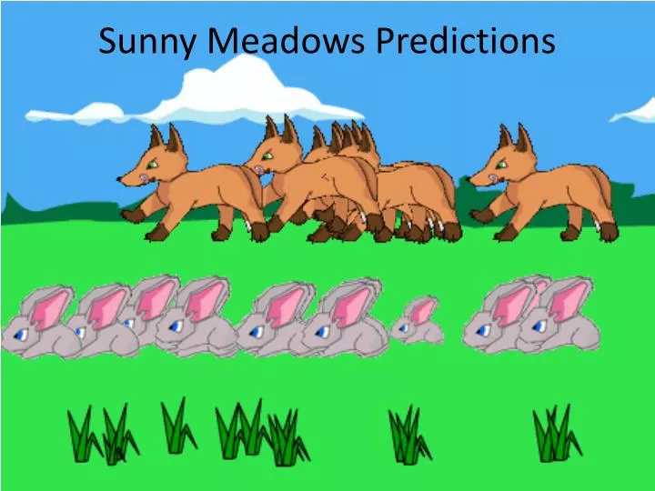 sunny meadows predictions