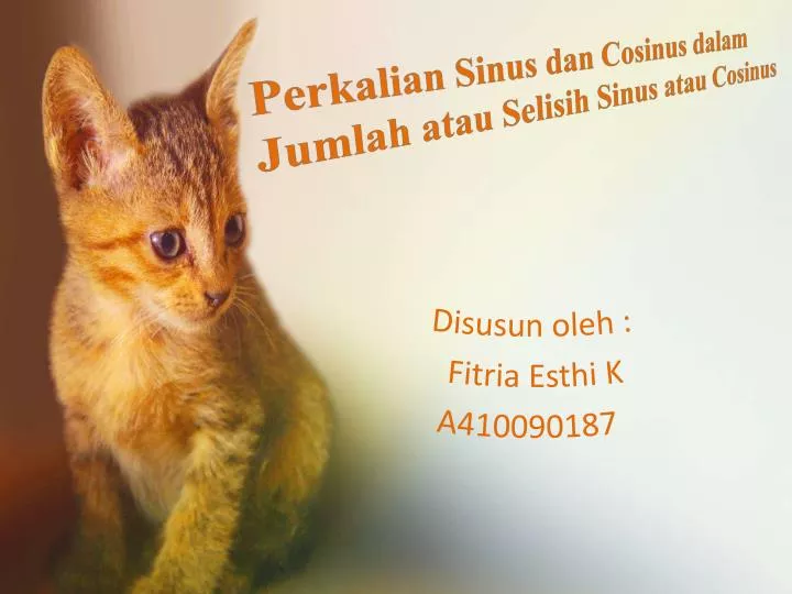 disusun oleh fitria esthi k a410090187