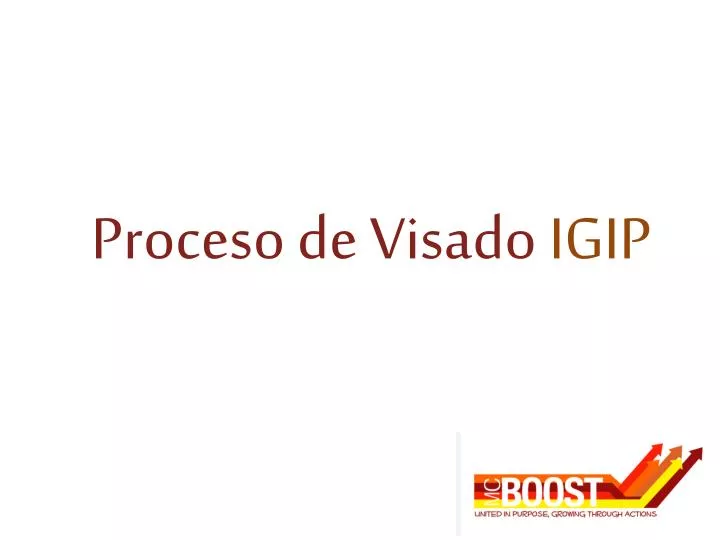 proceso de visado igip