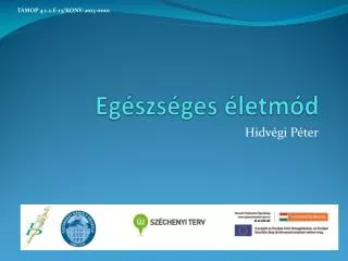 eg szs ges letm d