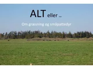 alt eller intet